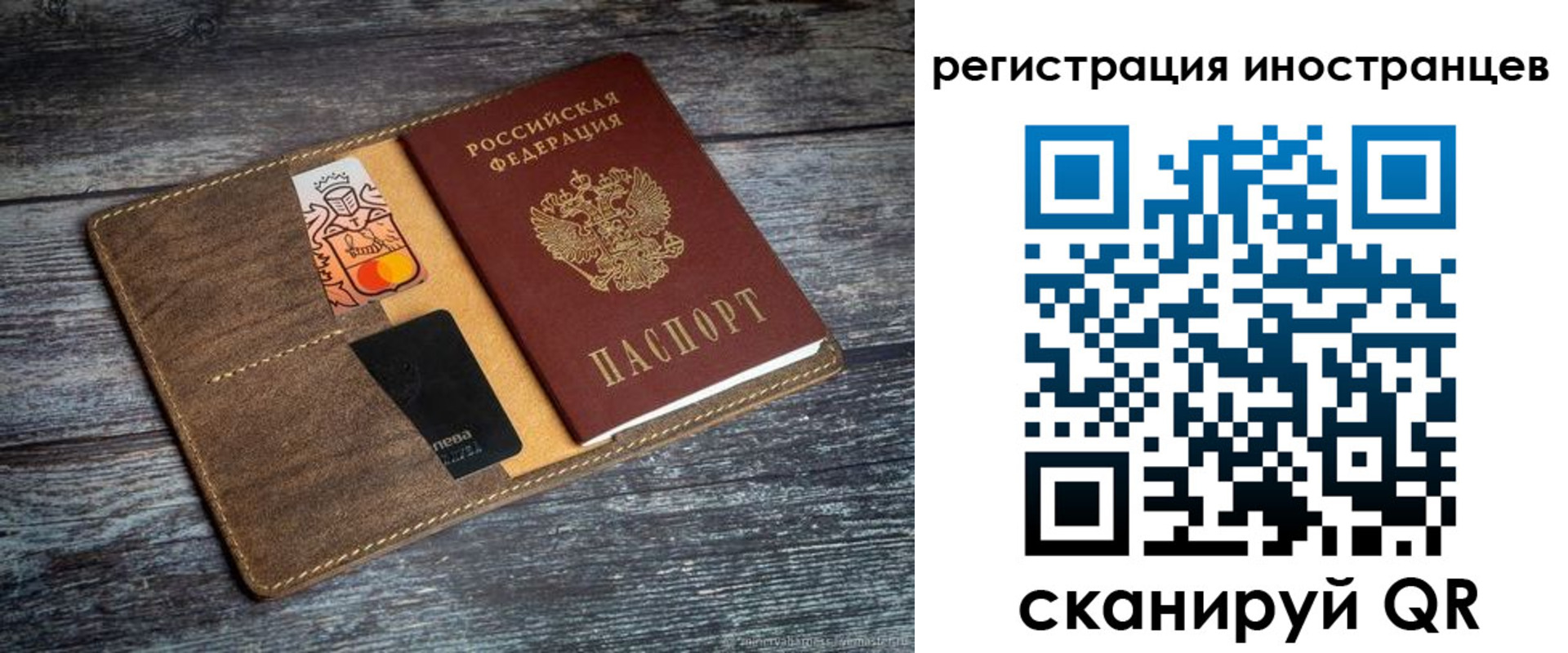 где прописаться в Каргополе